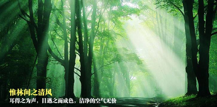 五一去杭州怎么樣?杭州千島湖五一游玩攻略