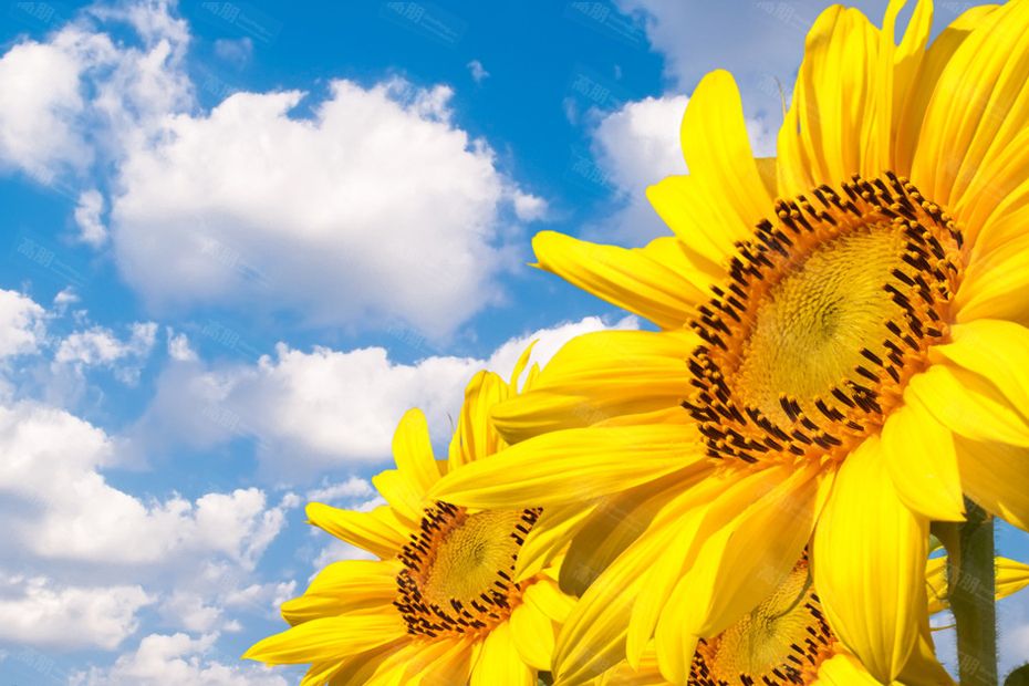 點擊查看源網(wǎng)頁