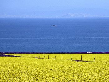 點擊查看源網頁