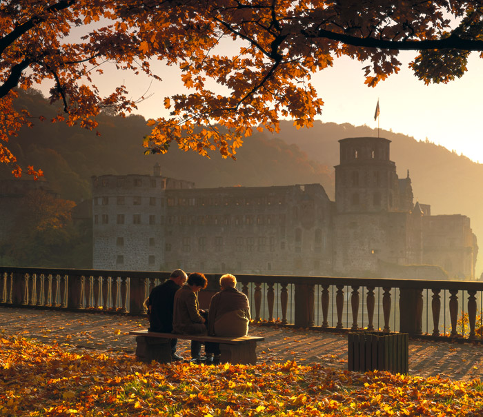 點擊查看源網頁