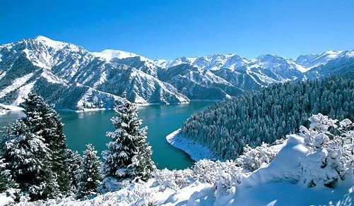 點擊查看源網頁