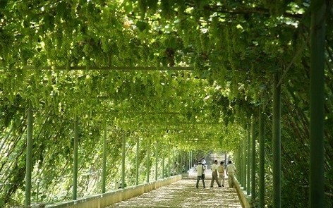 點擊查看源網頁