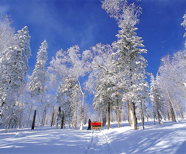 點擊查看源網(wǎng)頁