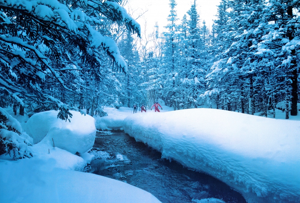 點擊查看源網頁