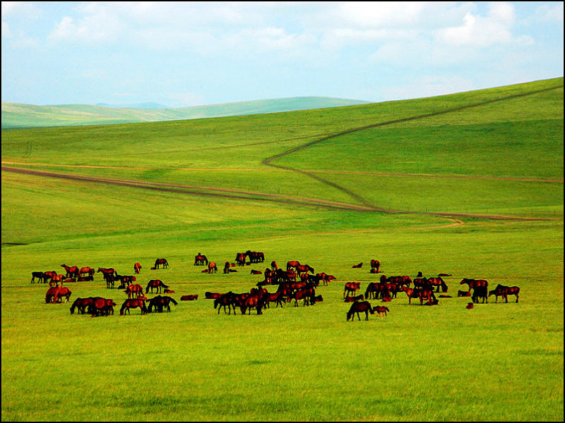 點擊查看源網(wǎng)頁