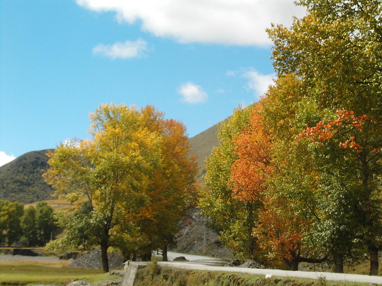 點擊查看源網頁