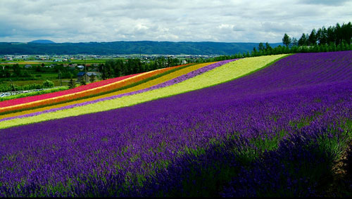 點擊查看源網頁