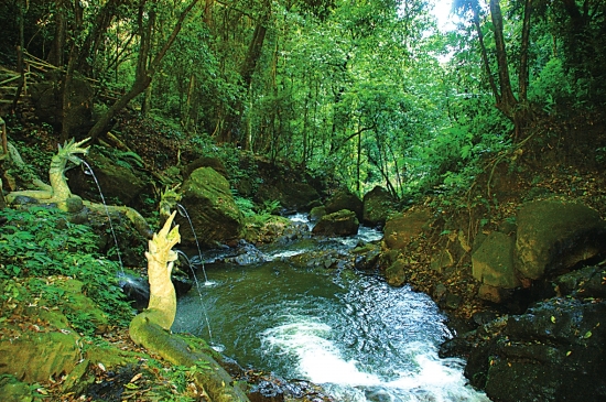 點(diǎn)擊查看源網(wǎng)頁(yè)