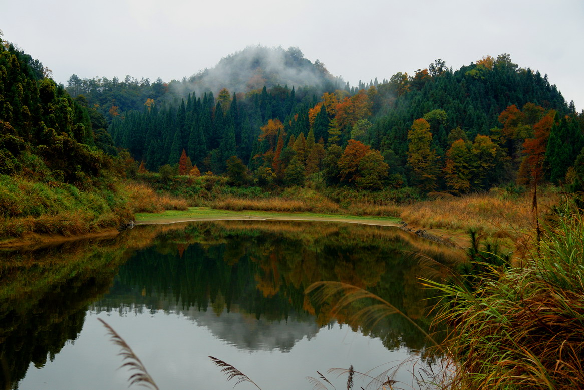 點擊查看源網頁