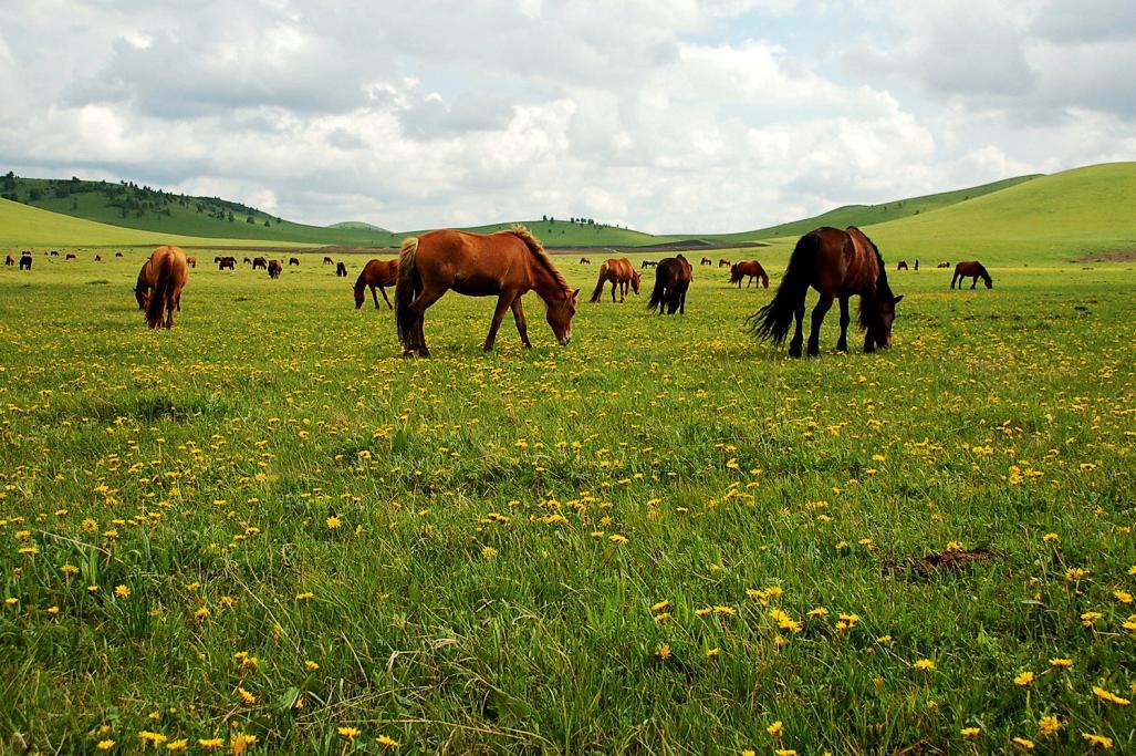 點(diǎn)擊查看源網(wǎng)頁