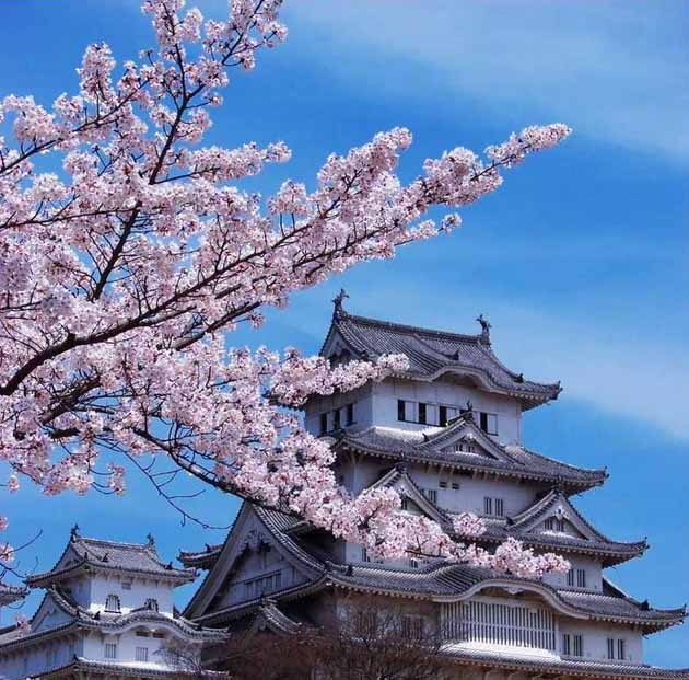 點擊查看源網頁