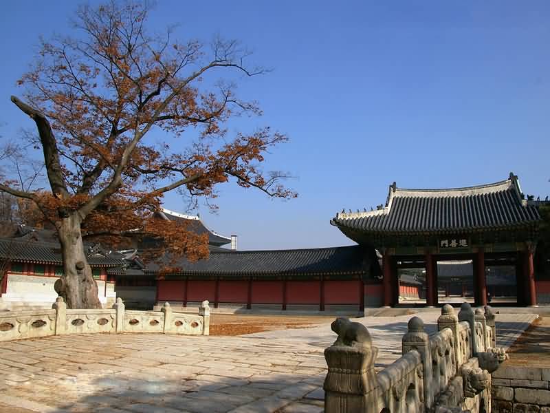 點(diǎn)擊查看源網(wǎng)頁