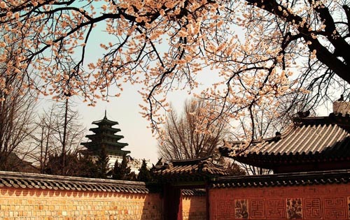 點擊查看源網(wǎng)頁