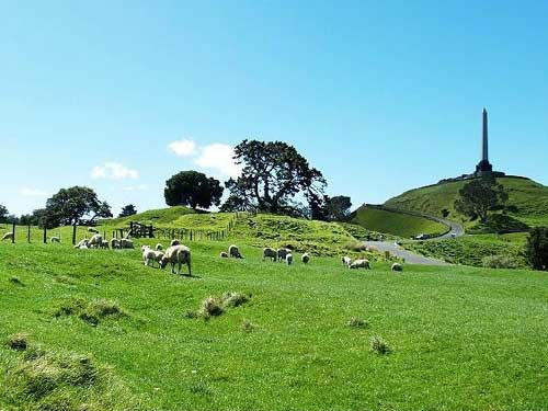 點擊查看源網頁