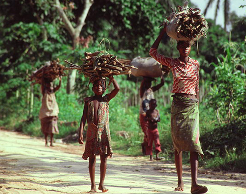 點擊查看源網頁